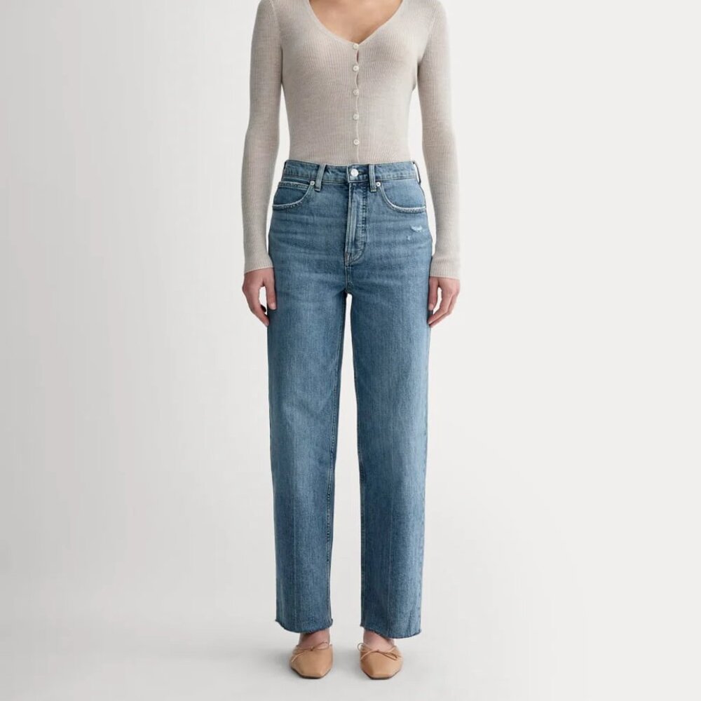 Everlane The Way-High Jean - 26 Distressed